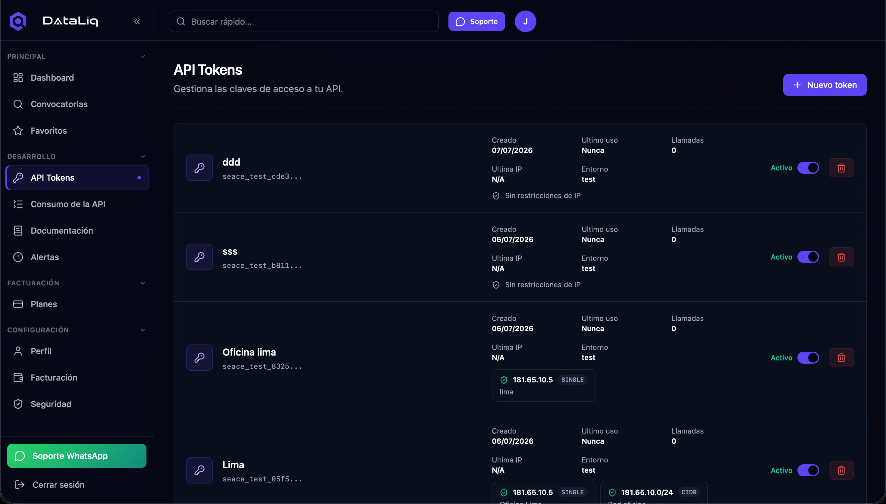 Vista de API Key en DataLiq