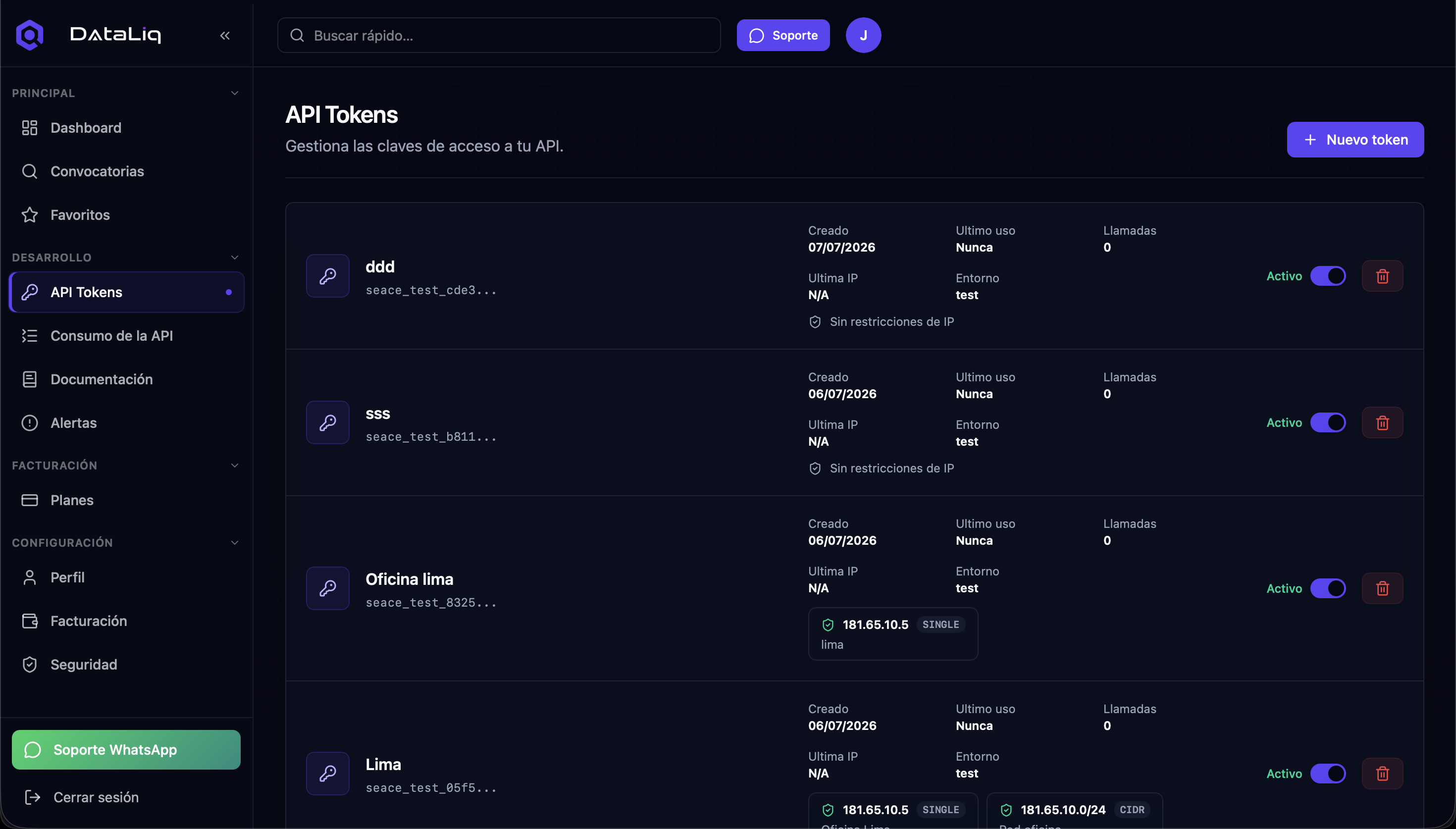 Vista de API Key en DataLiq