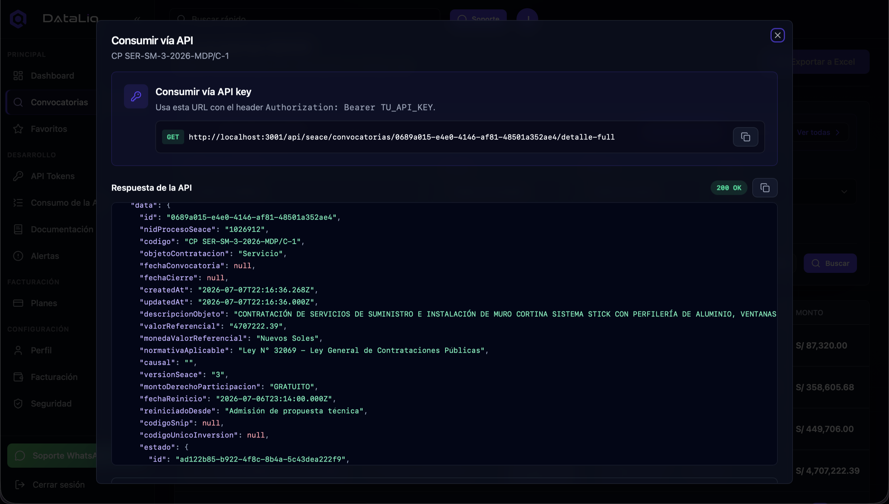 Vista de JSON en DataLiq